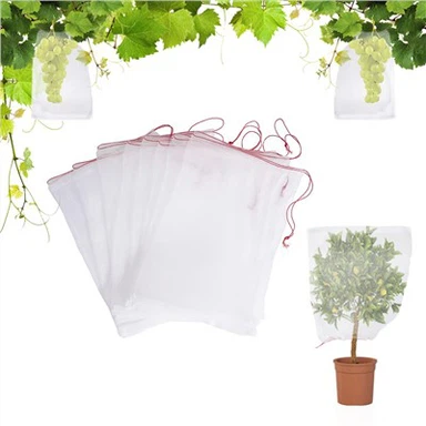 Sacs de culture pour arbres fruitiers
